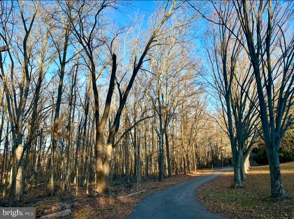 WOODMORE ACRES - Residential