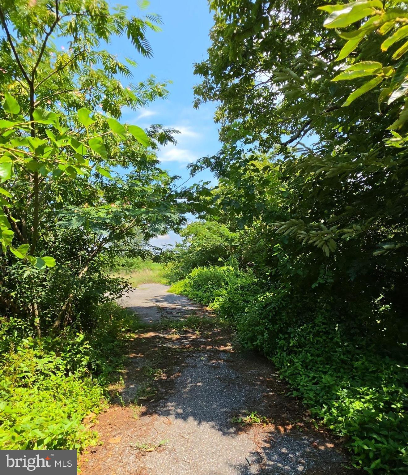53 NEW ENGLAND CROSS ROAD