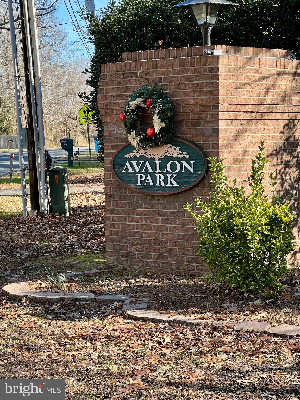 AVALON PARK - Residential