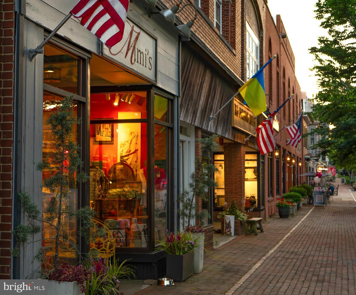DOWNTOWN CHESTERTOWN - Residential