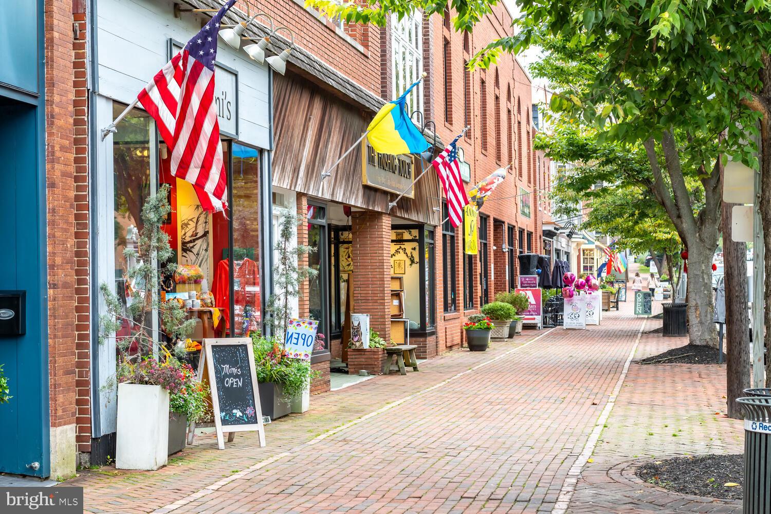 DOWNTOWN CHESTERTOWN - Residential