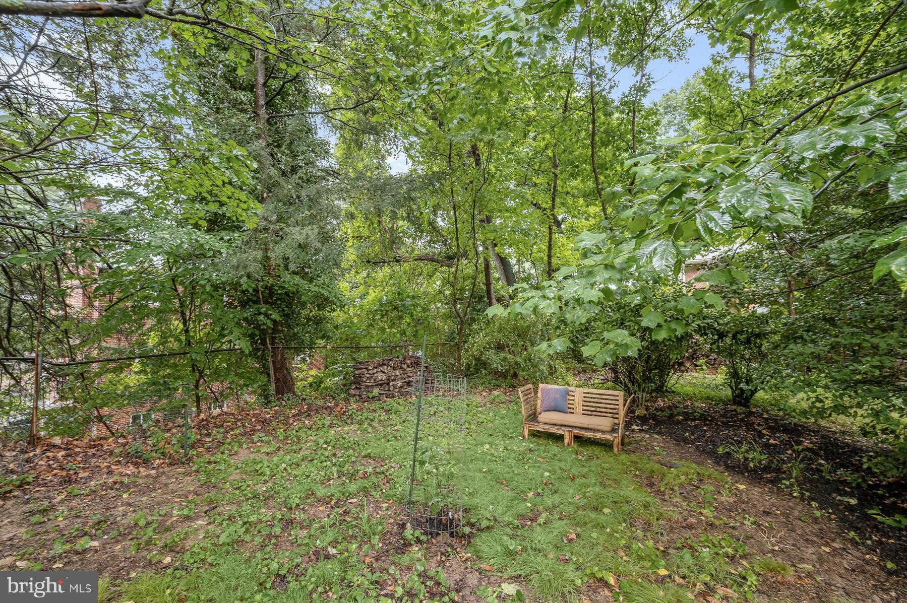 TAKOMA PARK - Residential