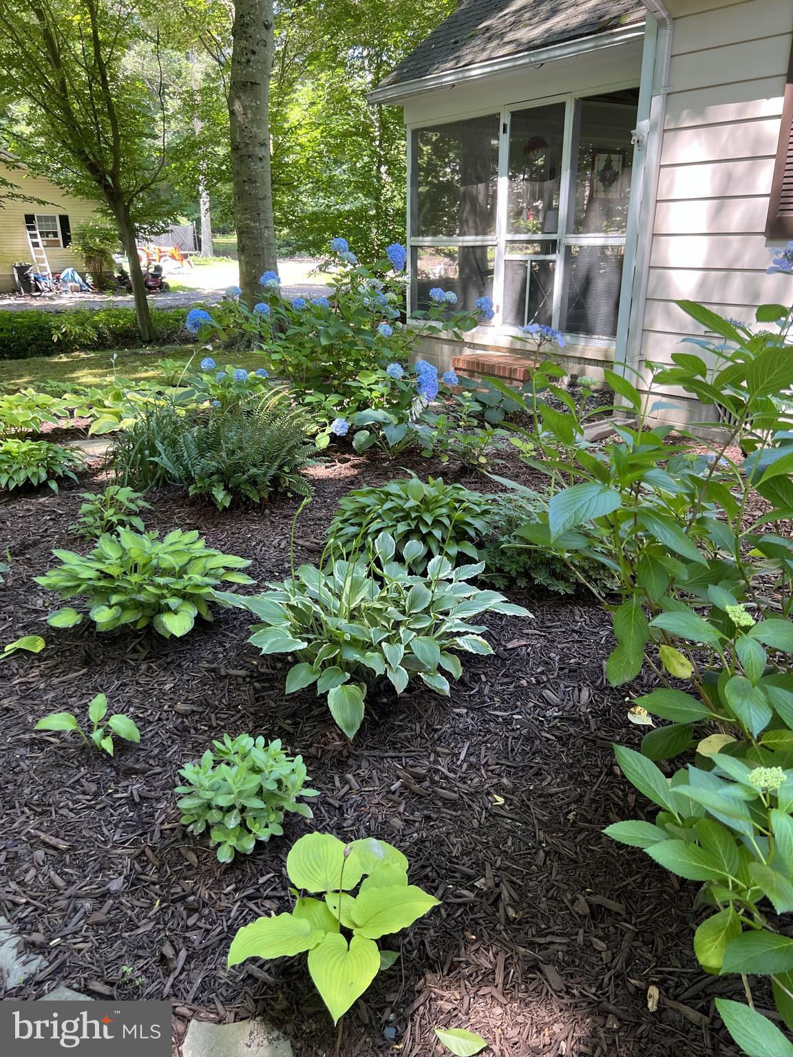 LONGWOODS - Residential