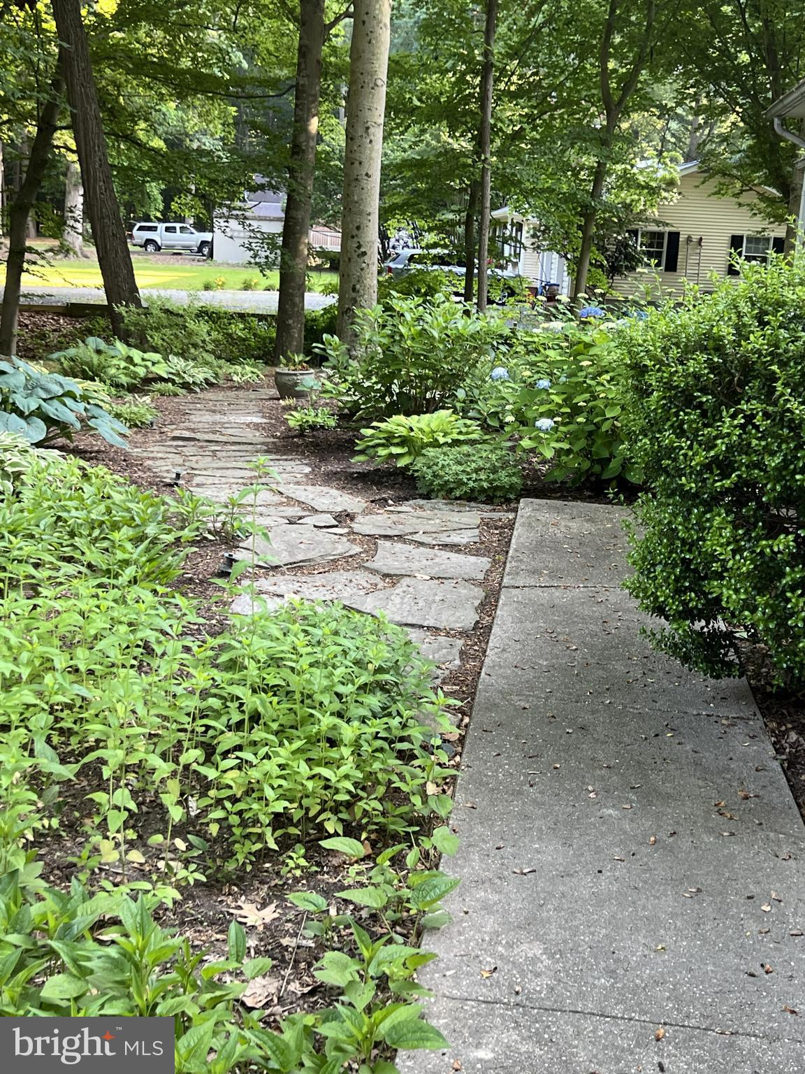 LONGWOODS - Residential