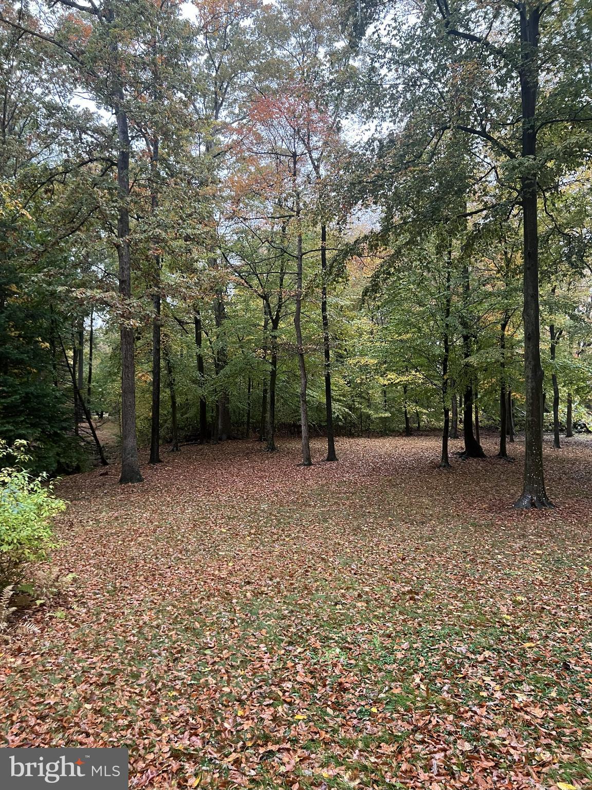 LONGWOODS - Residential