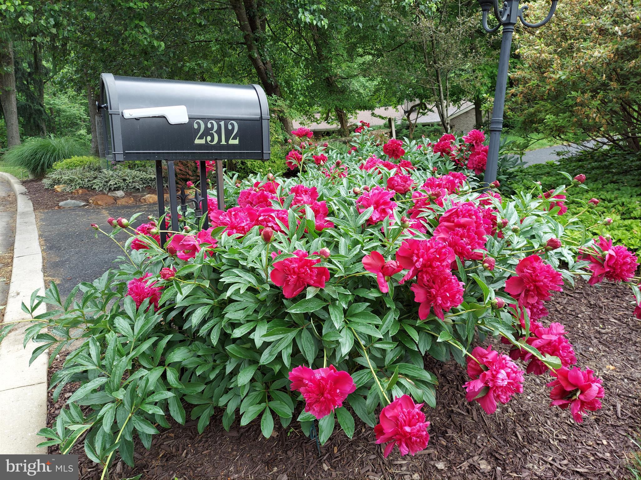 VELVET RIDGE - Residential