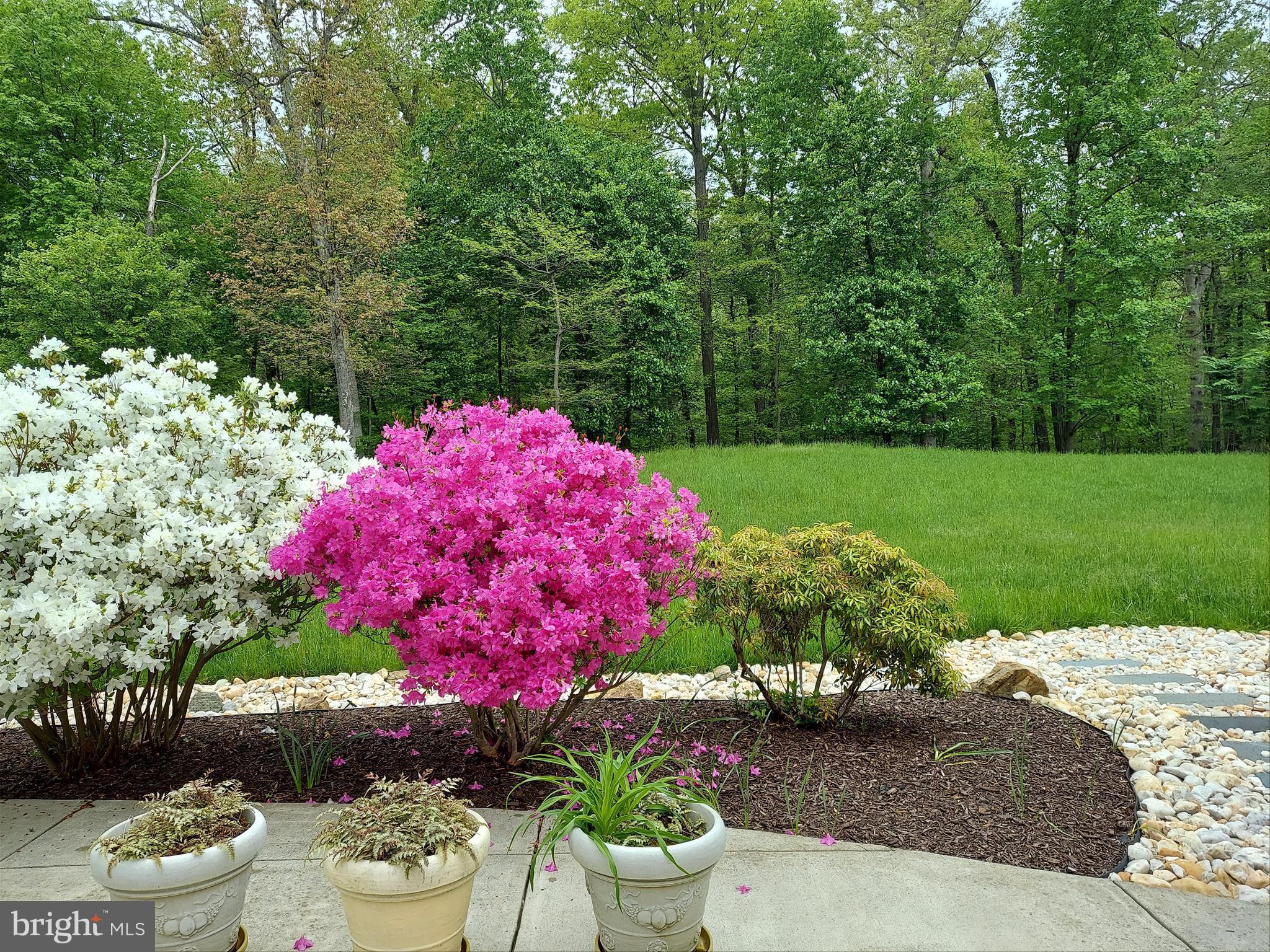 VELVET RIDGE - Residential