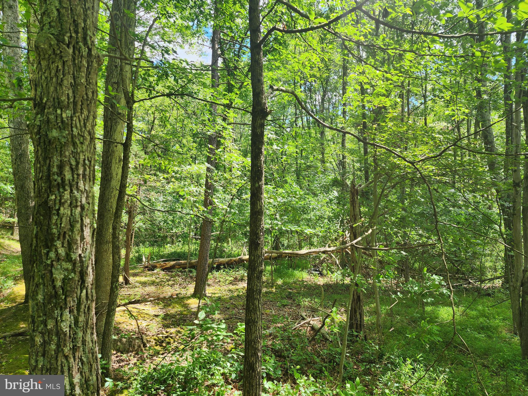 LOT 1 NATHANIEL MOUNTAIN HEIGHTS