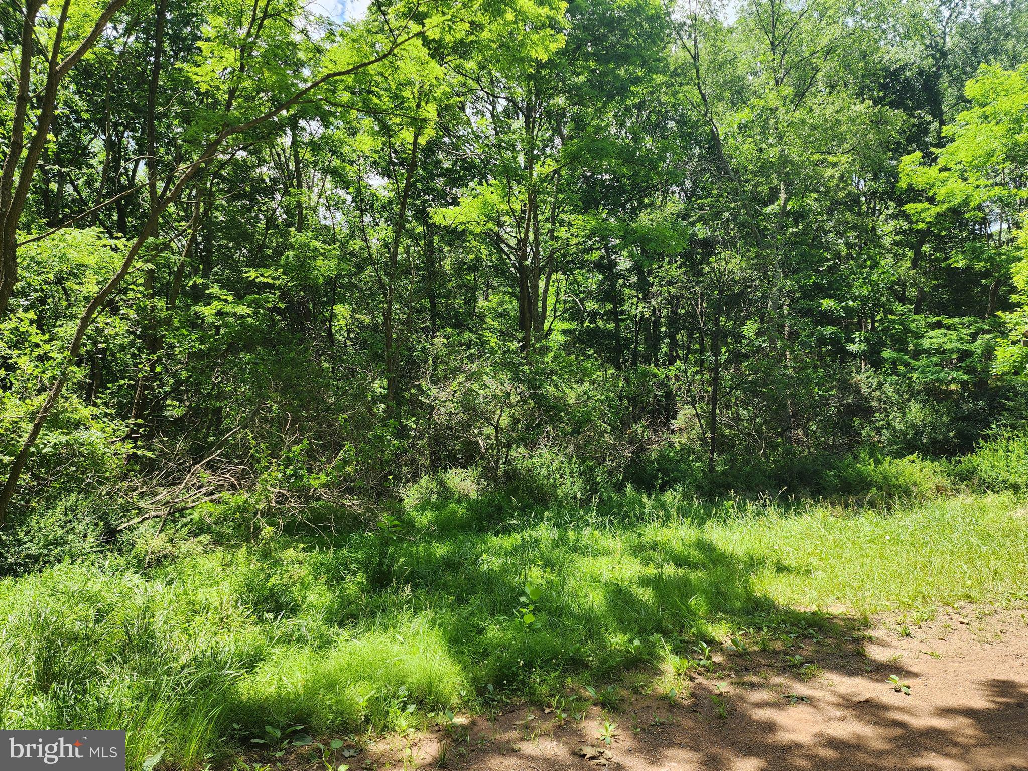 LOT 1 NATHANIEL MOUNTAIN HEIGHTS