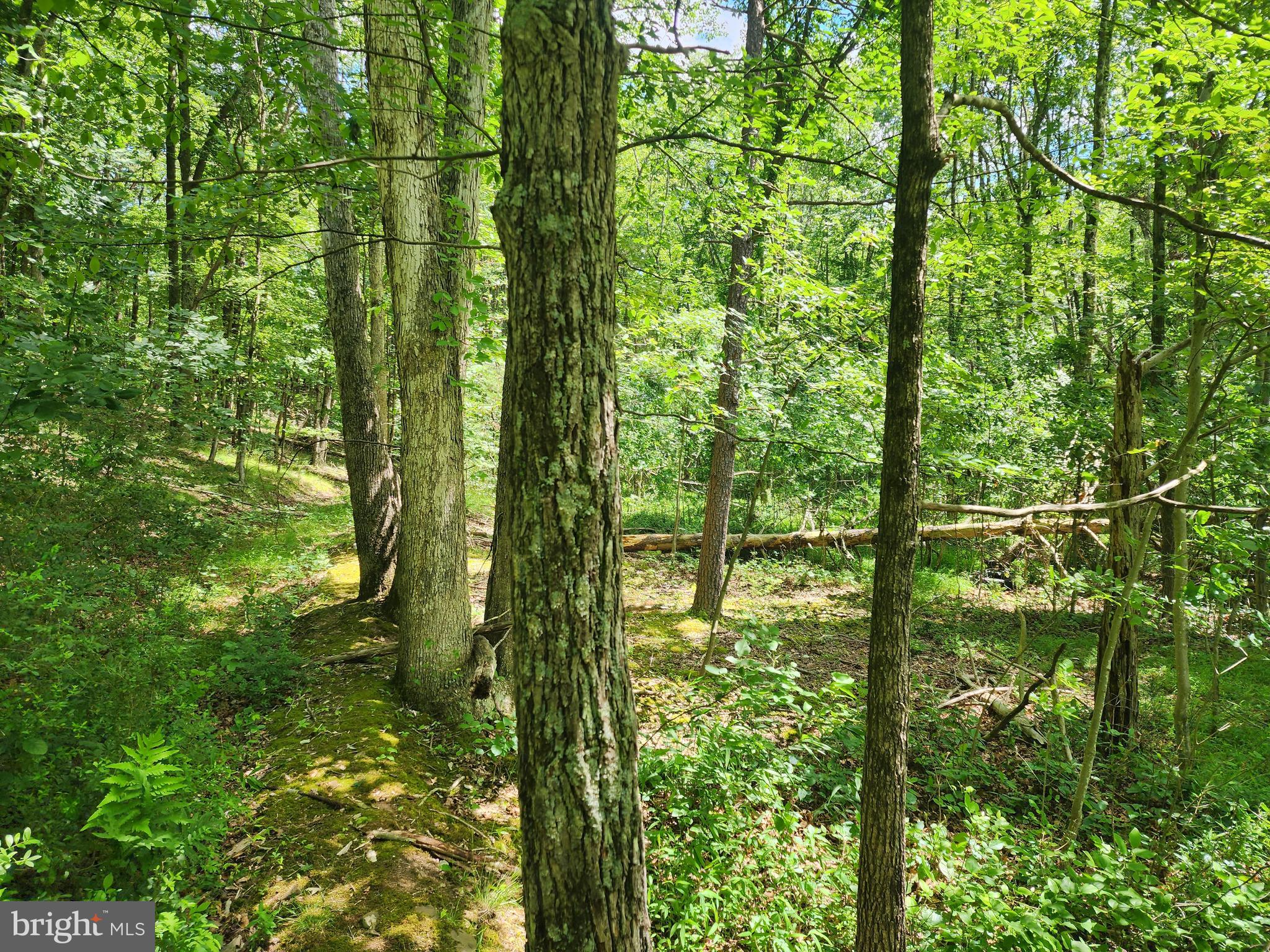 LOT 1 NATHANIEL MOUNTAIN HEIGHTS