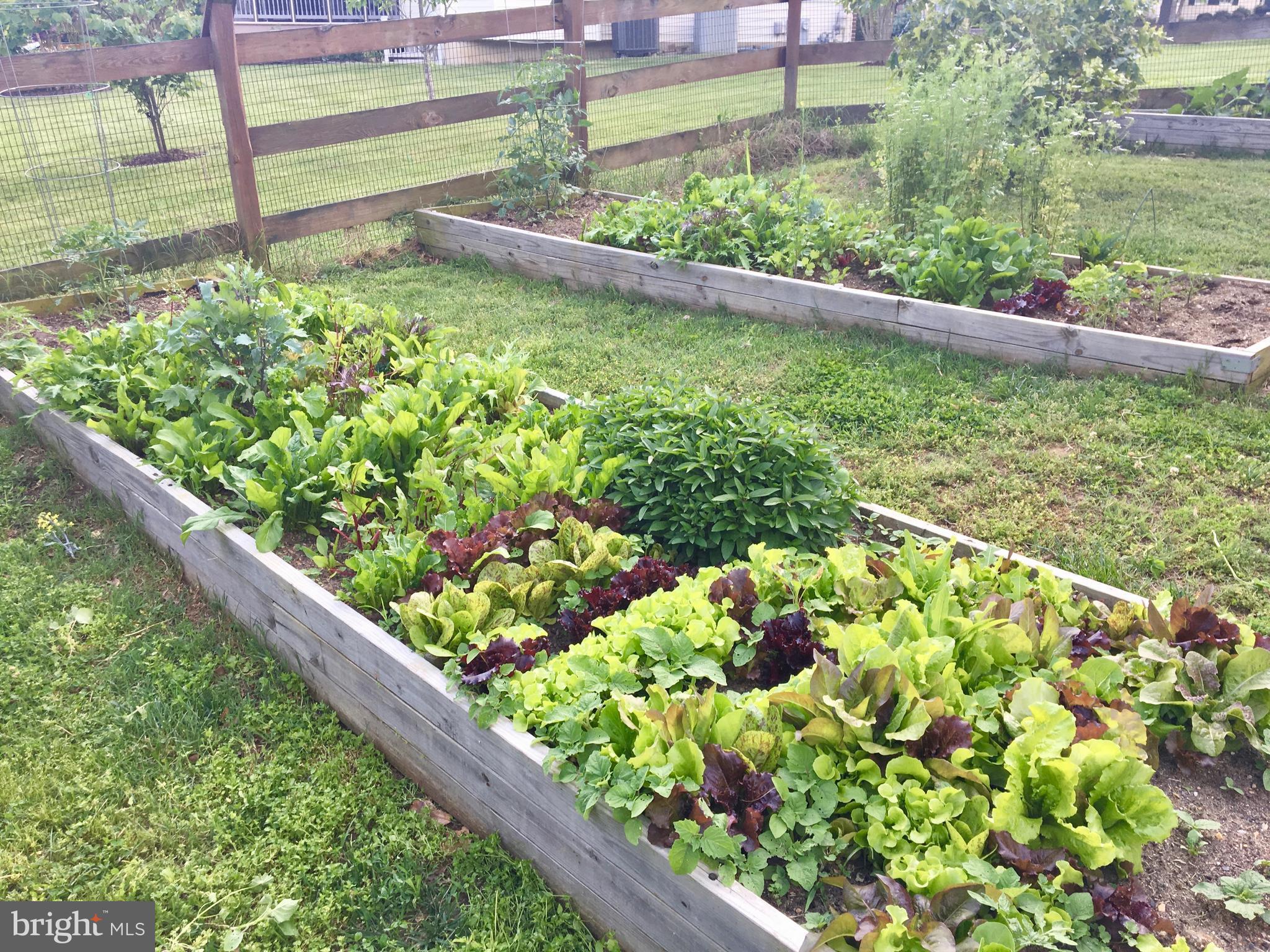 CAMBRIA - Residential