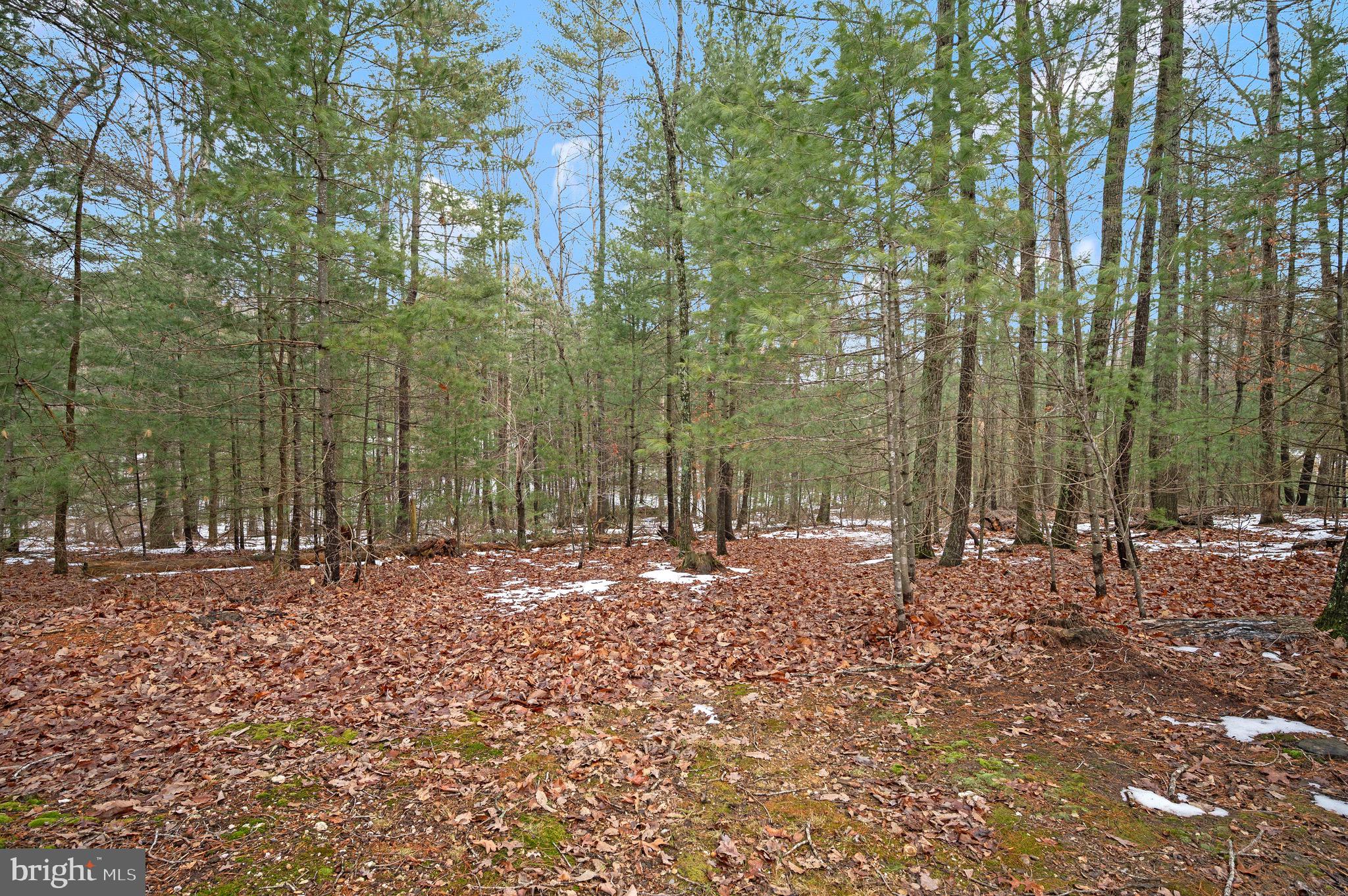 WALKERS BRANCH ESTATES - Residential