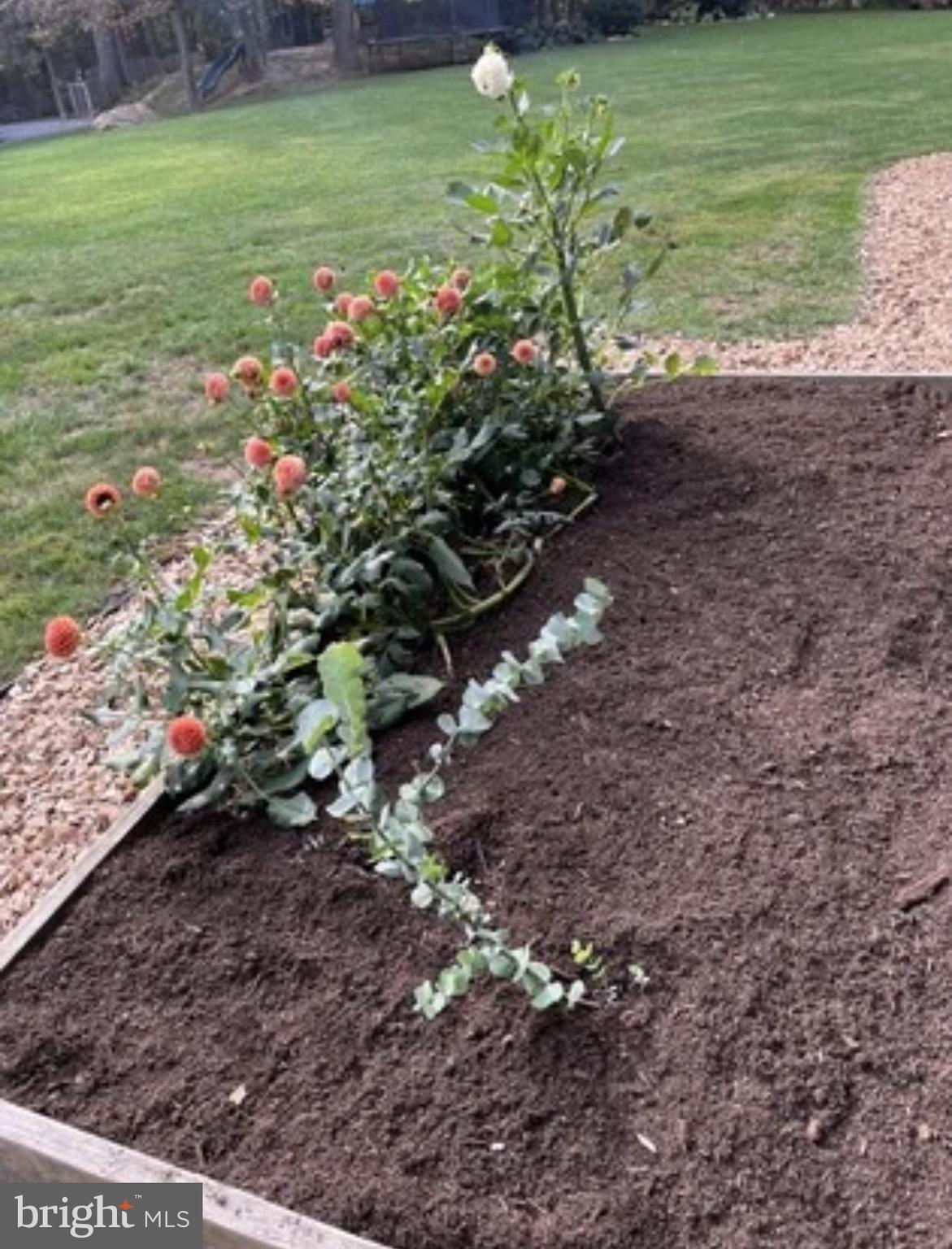 CAERNARVON - Residential