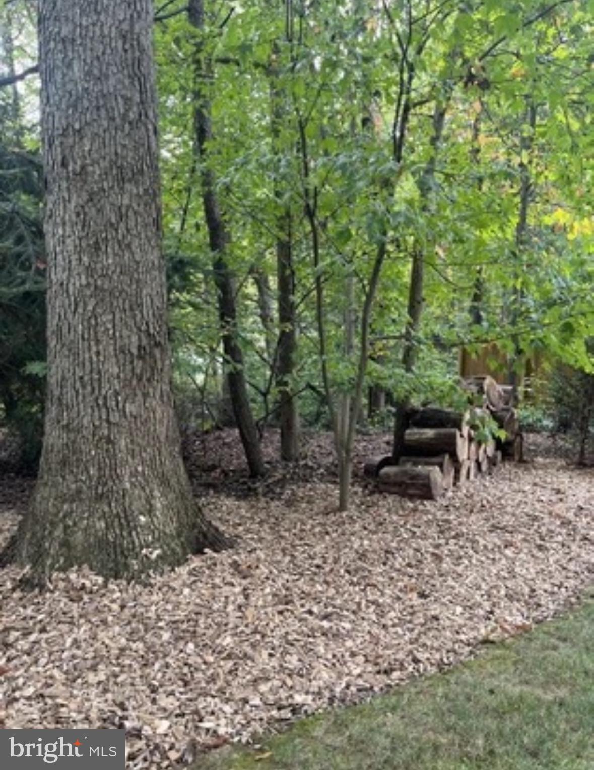 CAERNARVON - Residential