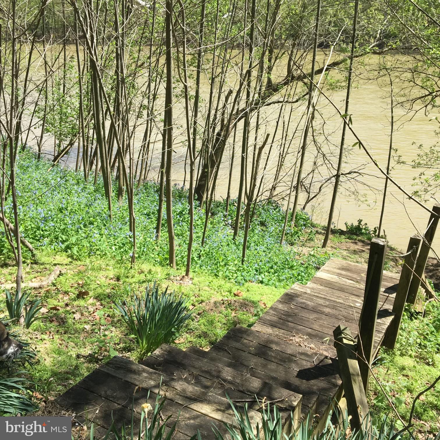 STEAMBOAT RUN - Residential