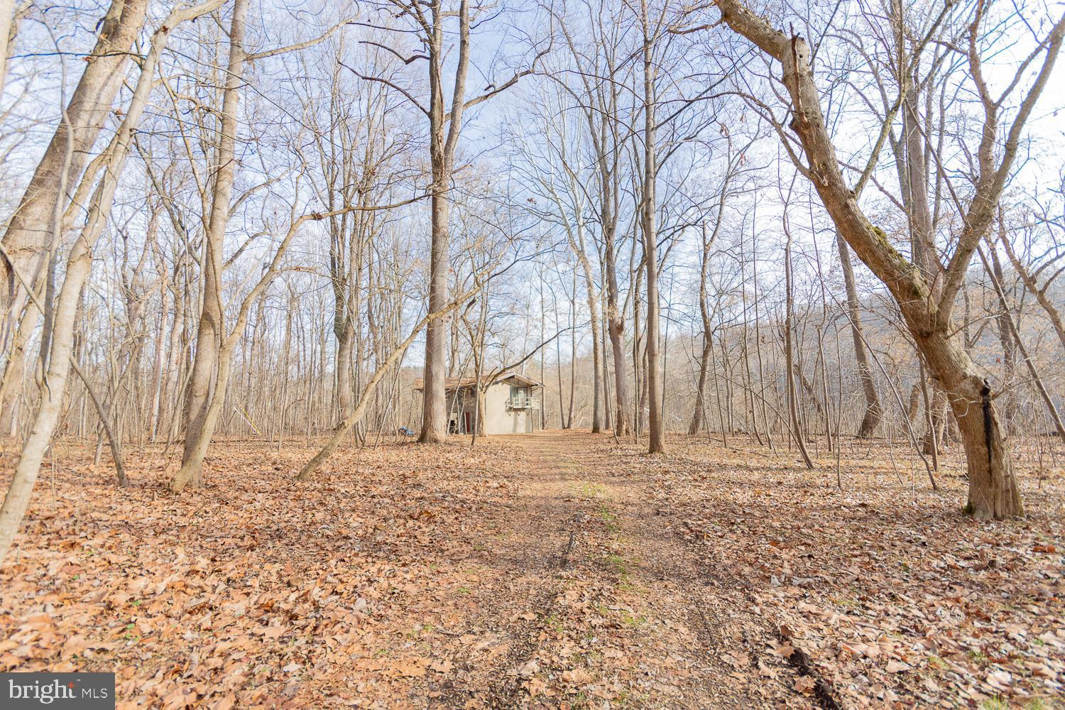 STEAMBOAT RUN - Residential