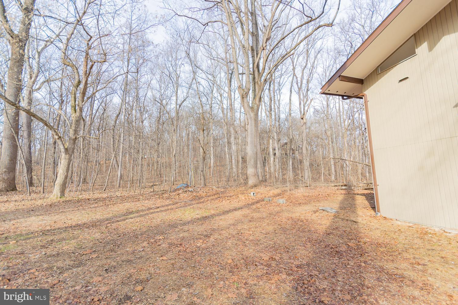 STEAMBOAT RUN - Residential