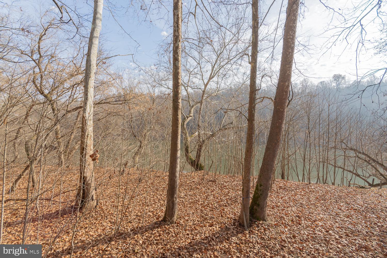 STEAMBOAT RUN - Residential