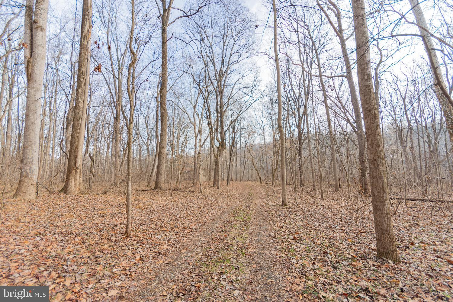 STEAMBOAT RUN - Residential