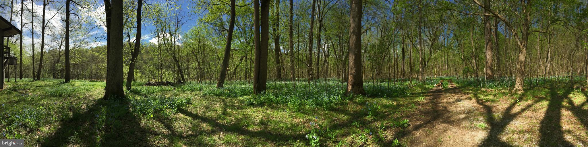 STEAMBOAT RUN - Residential