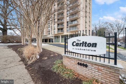 Condo For Sale - 4600 S Four Mile Run Drive #238<br/> ARLINGTON, VA 22204
