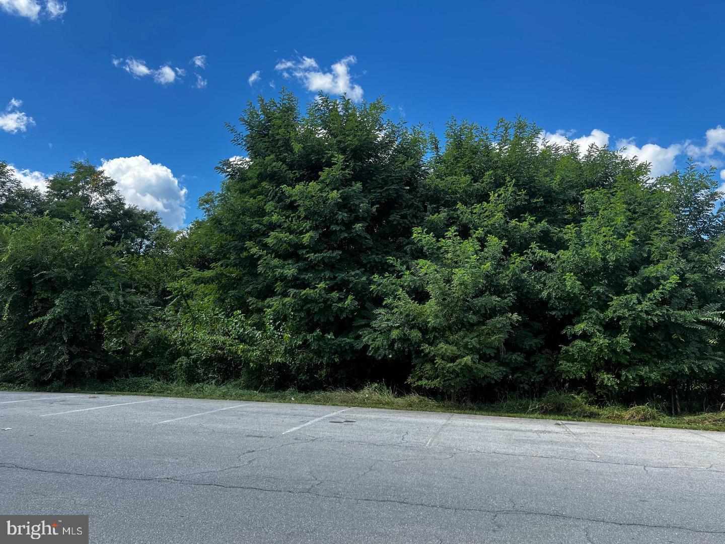 NONE AVAILABLE - Commercial Sale