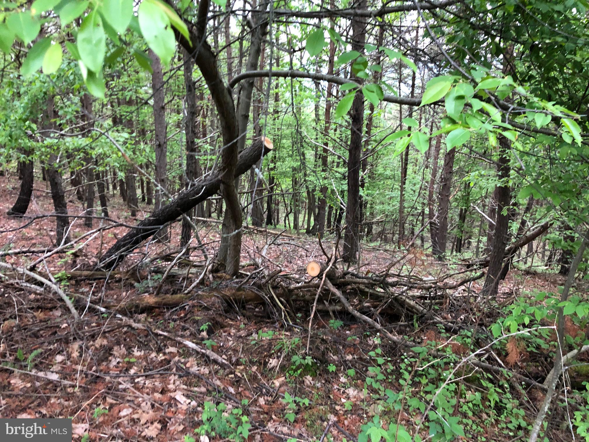 BLUFFS ON THE POTOMAC - Land