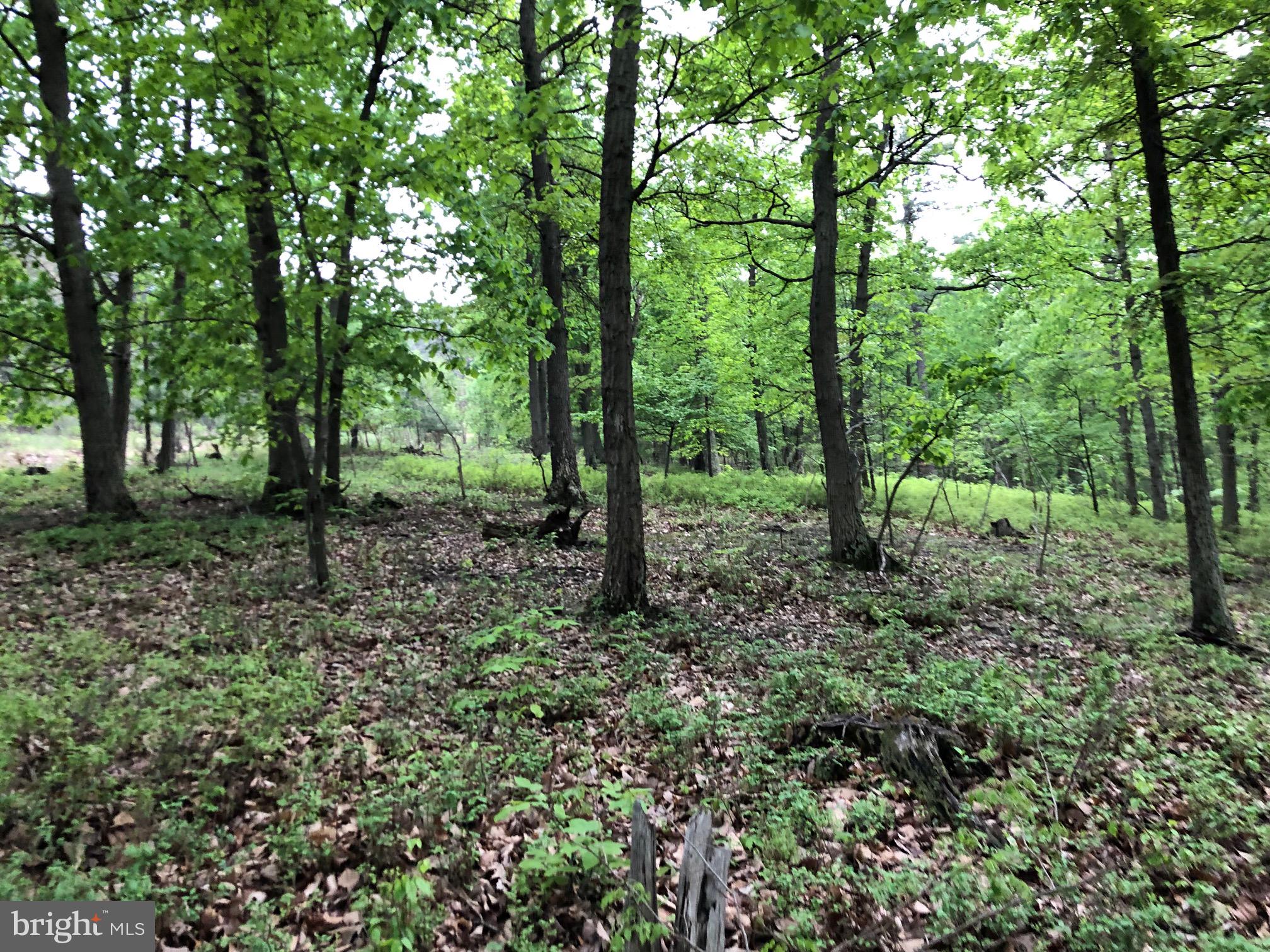 BLUFFS ON THE POTOMAC - Land