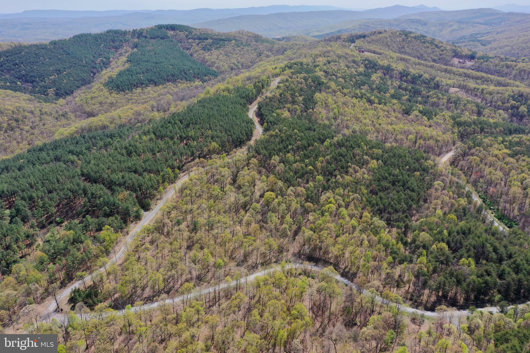 Remarkable 20.23 acre lot in the Bluffs on the Potomac. This lot has frontage on two roads with multiple spots in which to build. Great view possibility on this property. Enjoy the peace and quiet of the country roads. Electric nearby and a perk test has been completed. A must see!