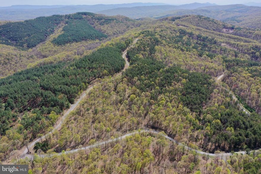 Remarkable 20.23 acre lot in the Bluffs on the Potomac.  This lot has frontage on two roads with multiple spots in which to build.  Great view possibility on this property.  Enjoy the peace and quiet of the country roads. Electric nearby and a perk test has been completed.  A must see!