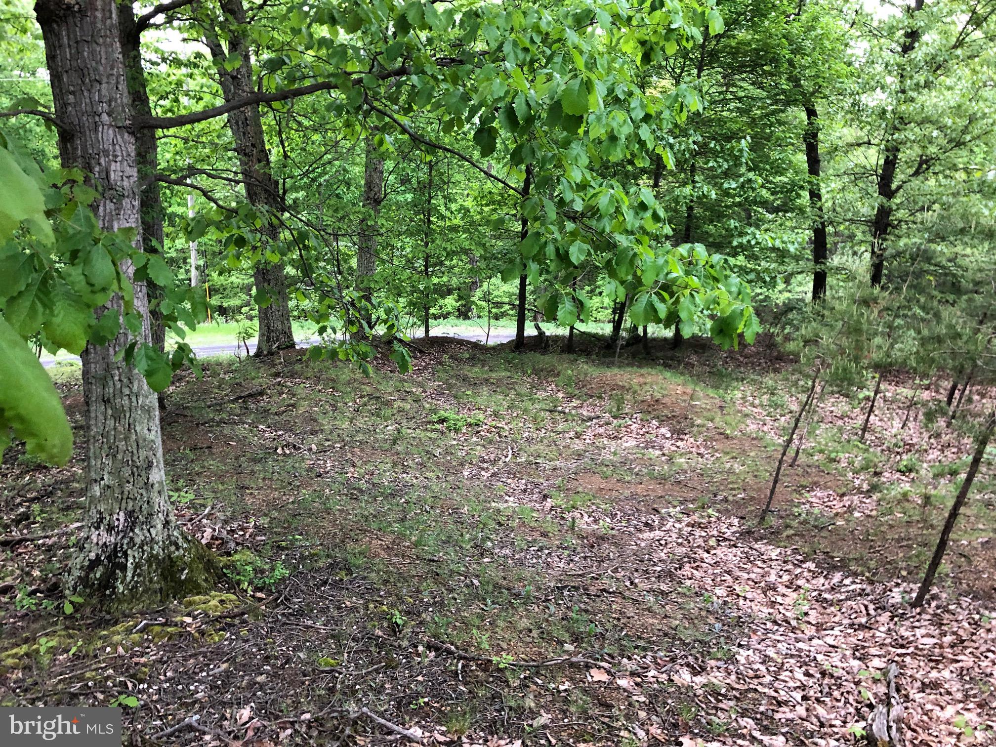 BLUFFS ON THE POTOMAC - Land