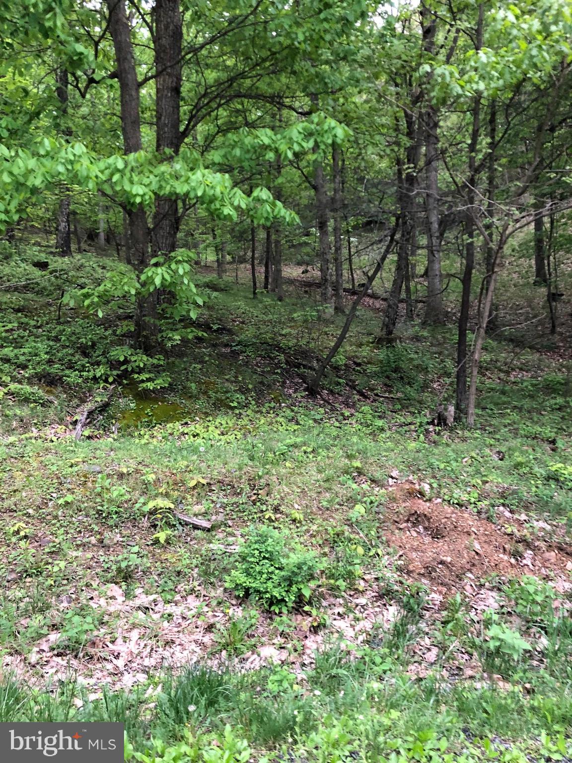 BLUFFS ON THE POTOMAC - Land