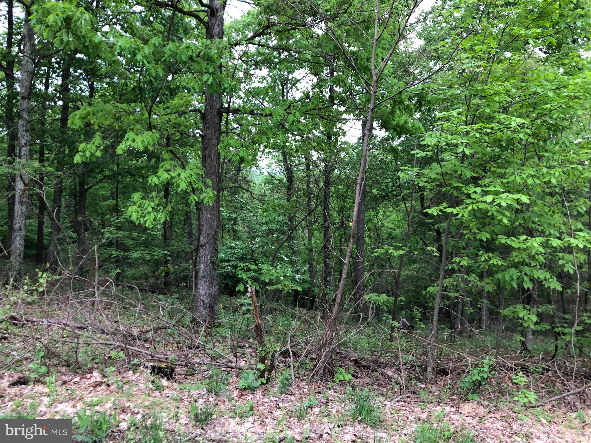 BLUFFS ON THE POTOMAC - Land