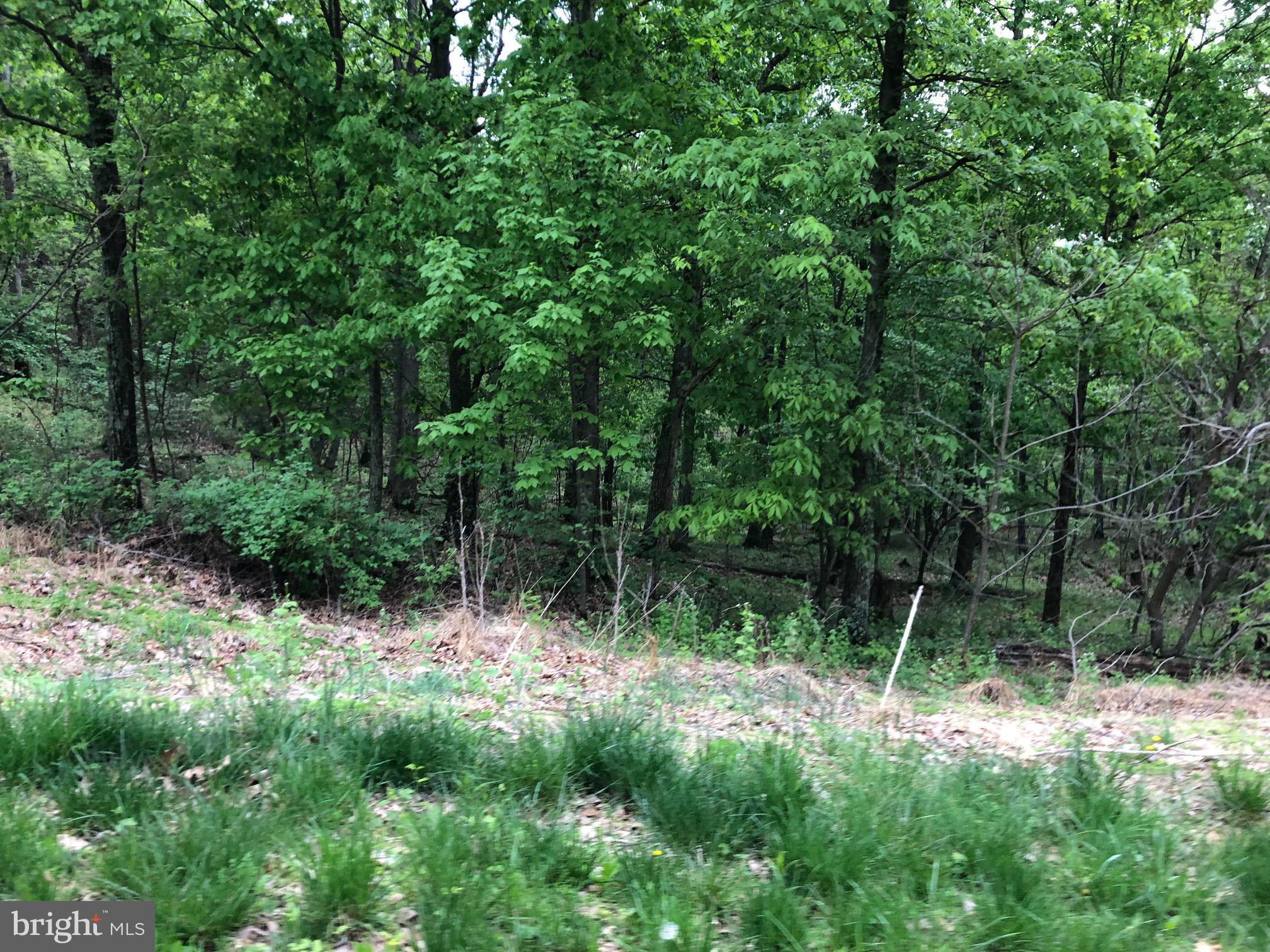 BLUFFS ON THE POTOMAC - Land