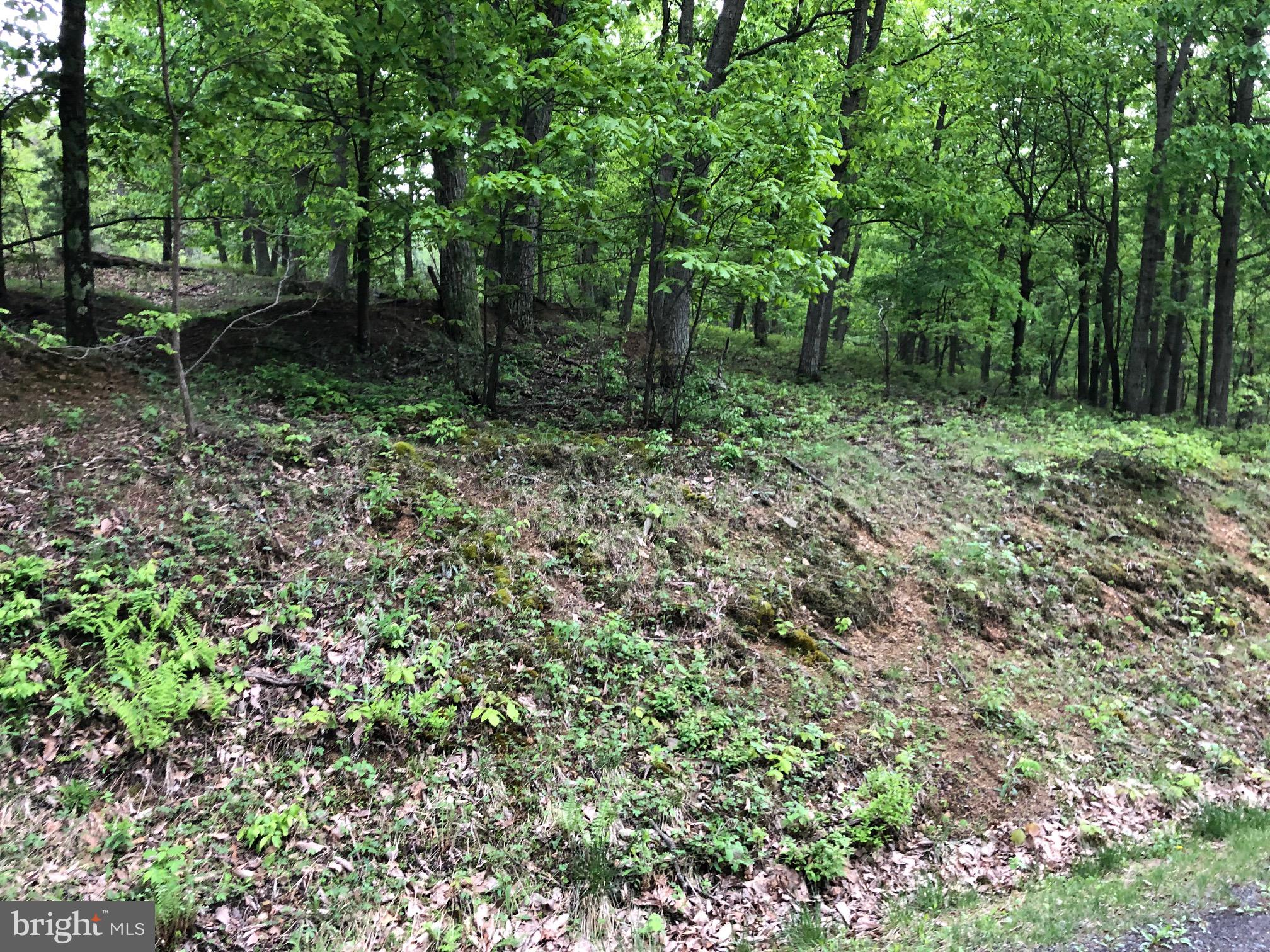 BLUFFS ON THE POTOMAC - Land