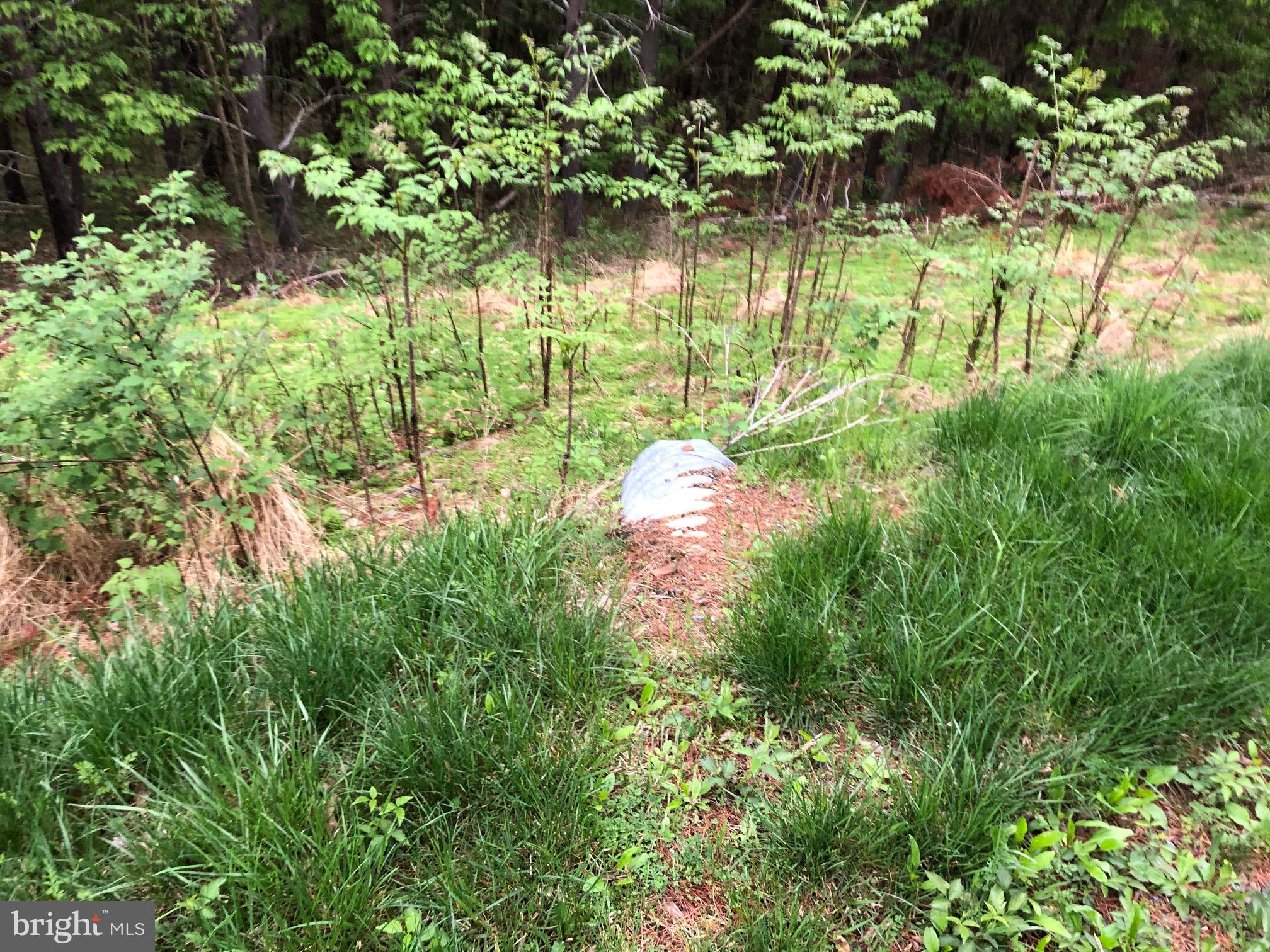 BLUFFS ON THE POTOMAC - Land