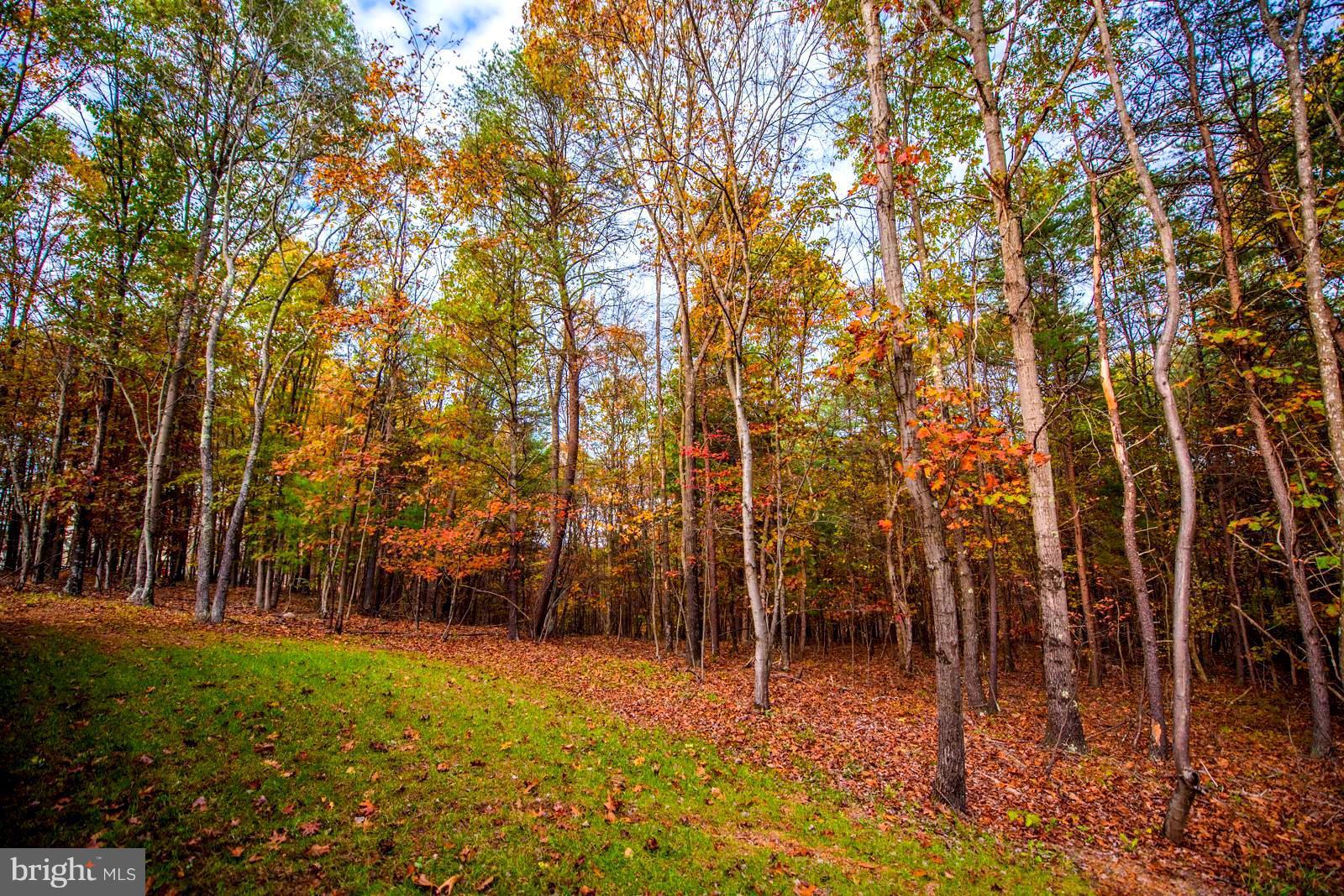 ROUND TOP ESTATES - Residential