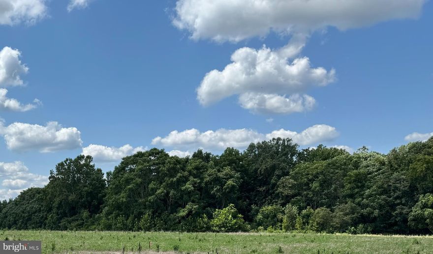 This beautiful 40-acre parcel offers the perfect opportunity to build your dream home or enjoy a private getaway surrounded by nature. The land is fully wooded, providing peace, privacy, and abundant wildlife. Jetts Creek meanders through the property, adding a serene natural feature and picturesque setting. Whether you're looking to build now or invest for the future, this property offers endless potential in a tranquil rural location.