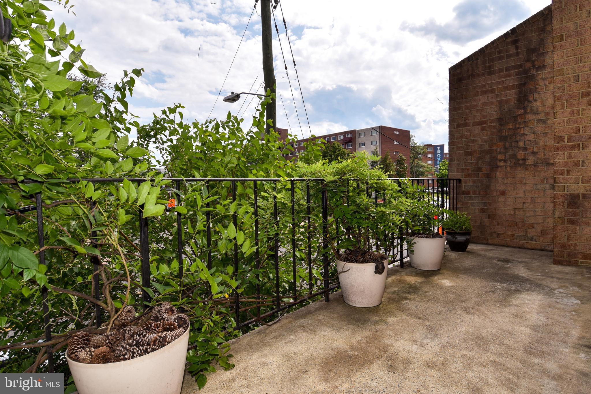 WESTHAMPTON MEWS - Residential