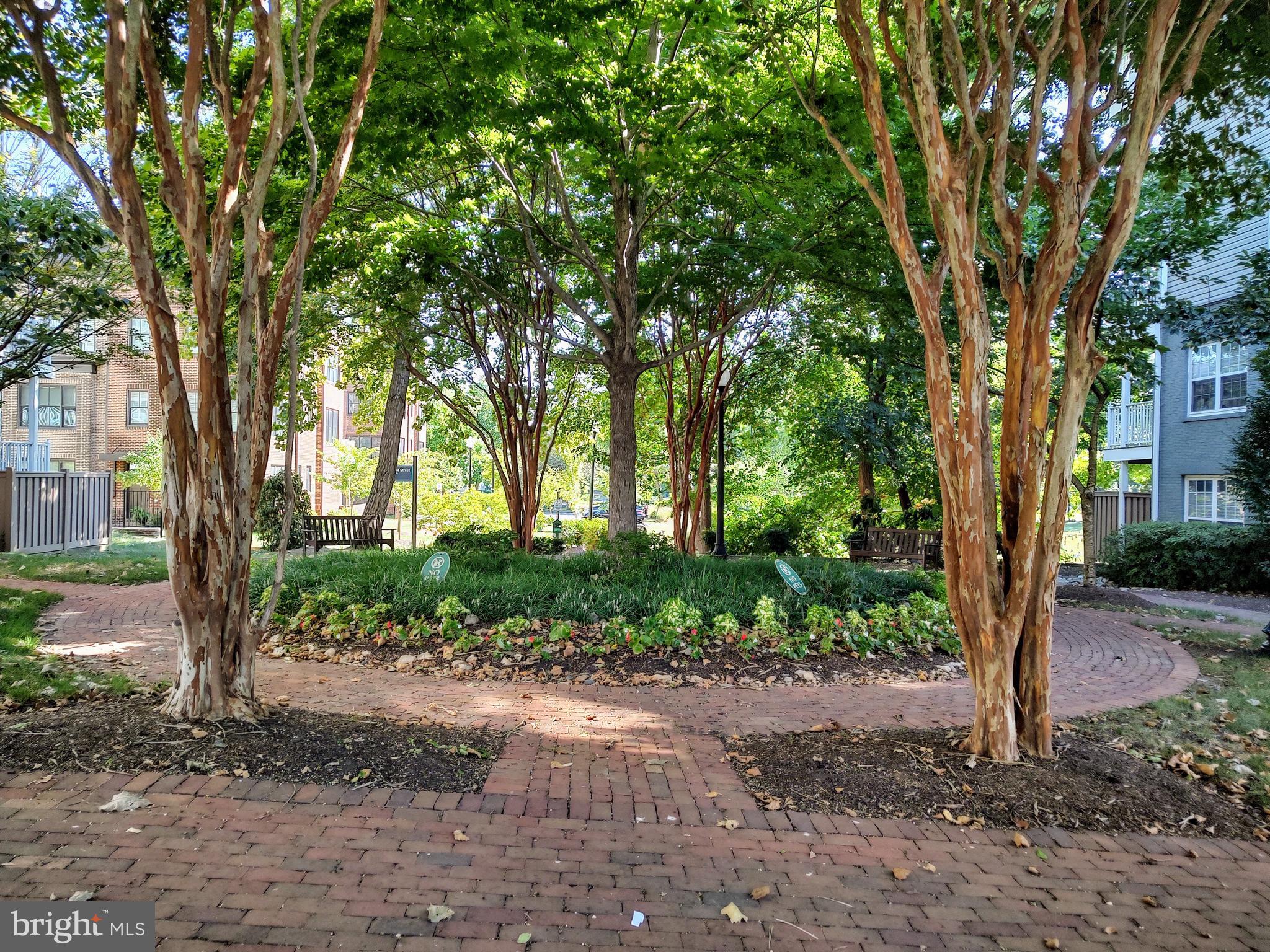 OLD TOWN VILLAGE - Residential