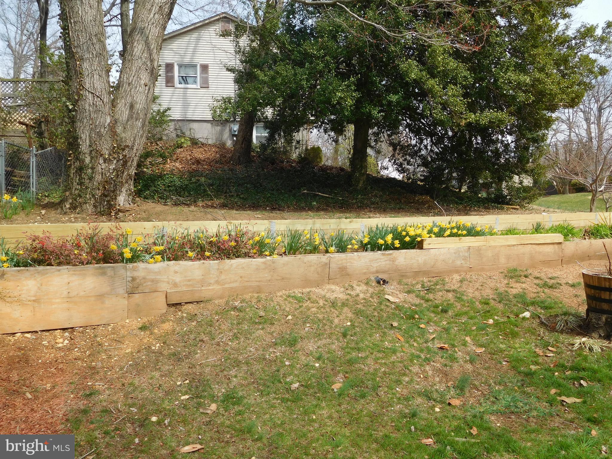 FAIRFAX HOMES - Residential Lease