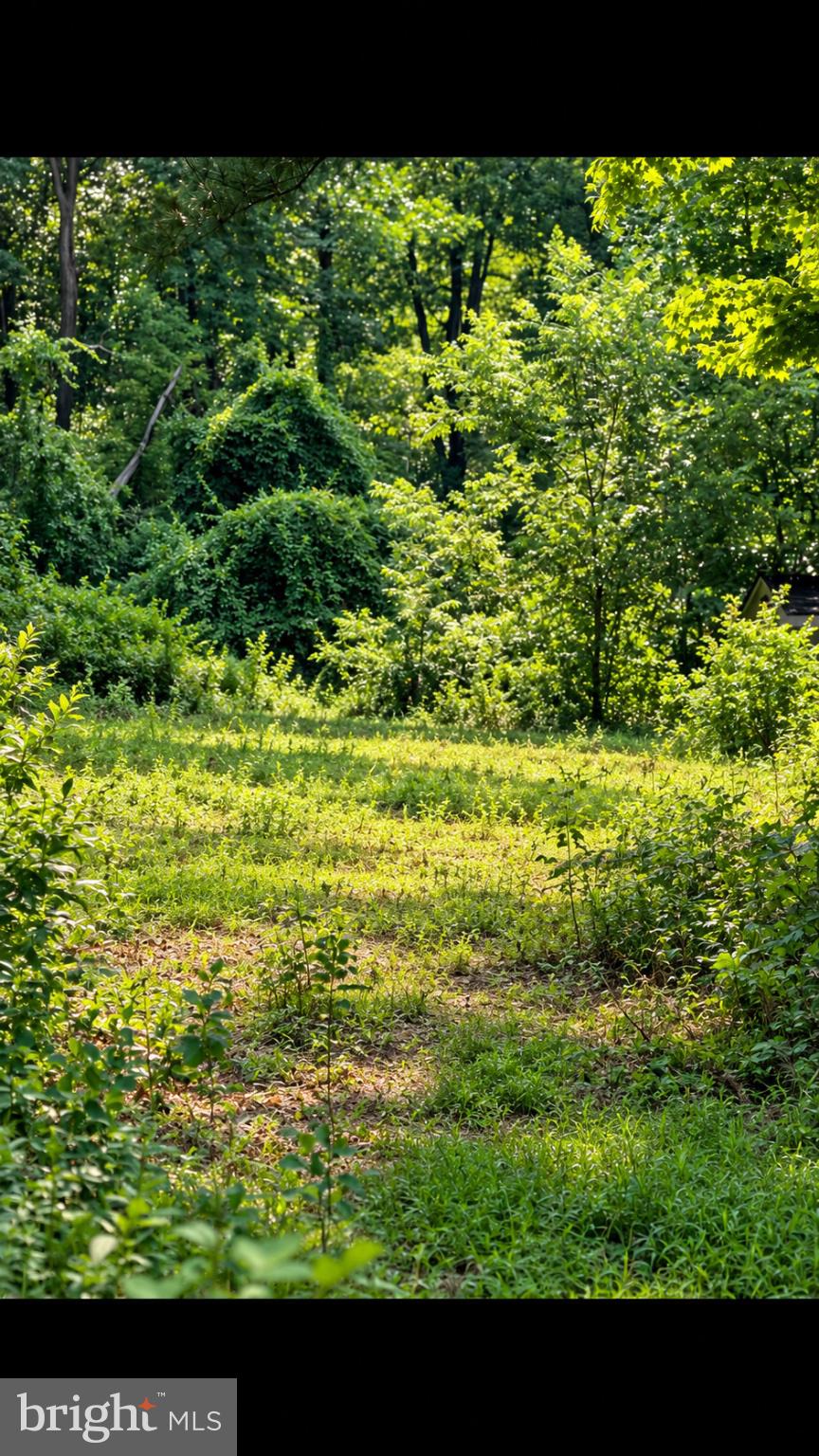 1796 SALEM ROAD