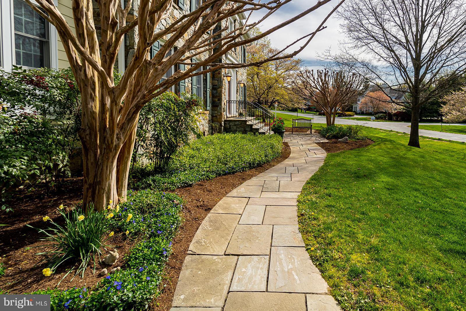 MCAULEY PARK - Residential