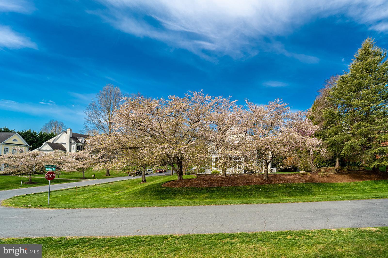 MCAULEY PARK - Residential