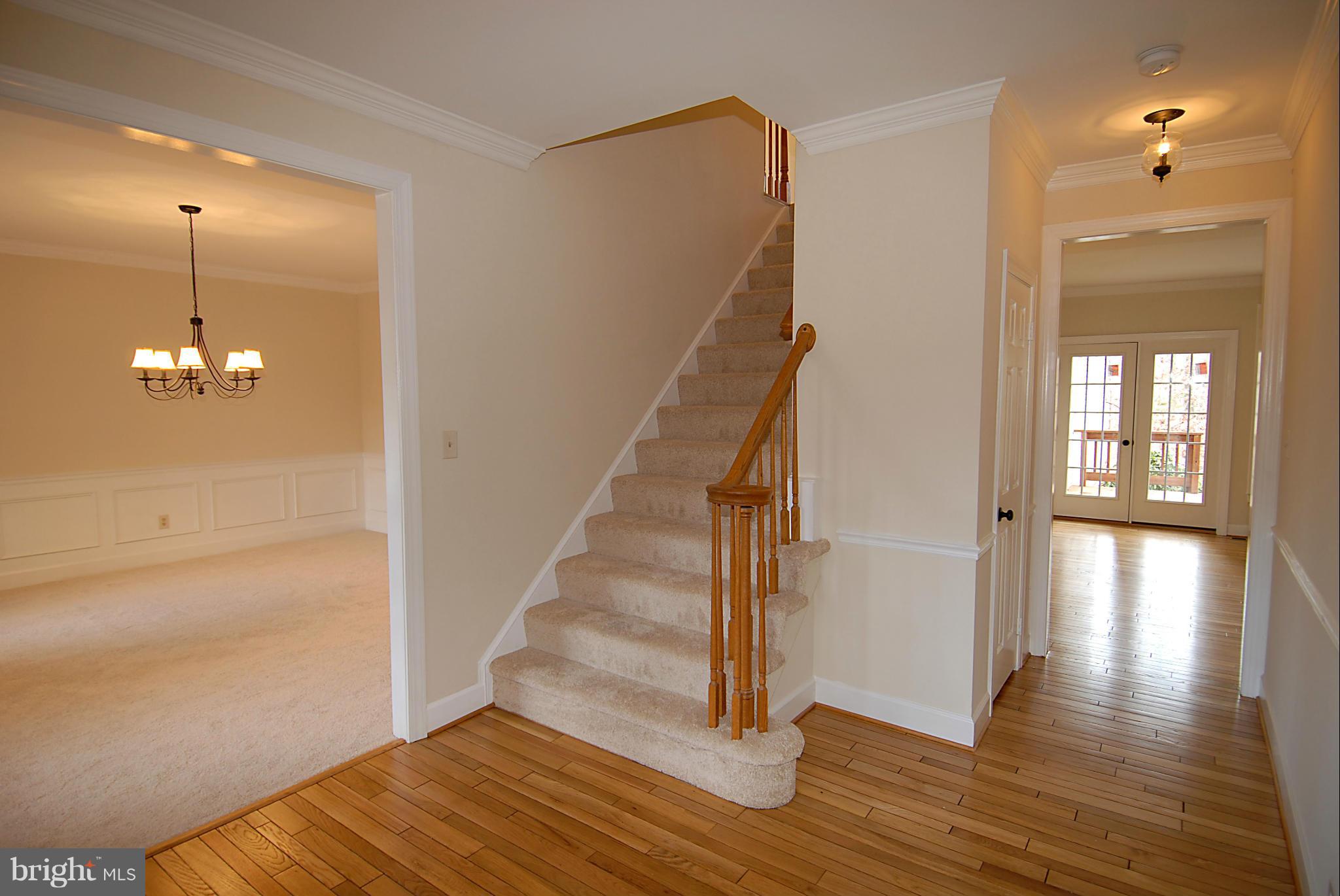 CARTER - Residential