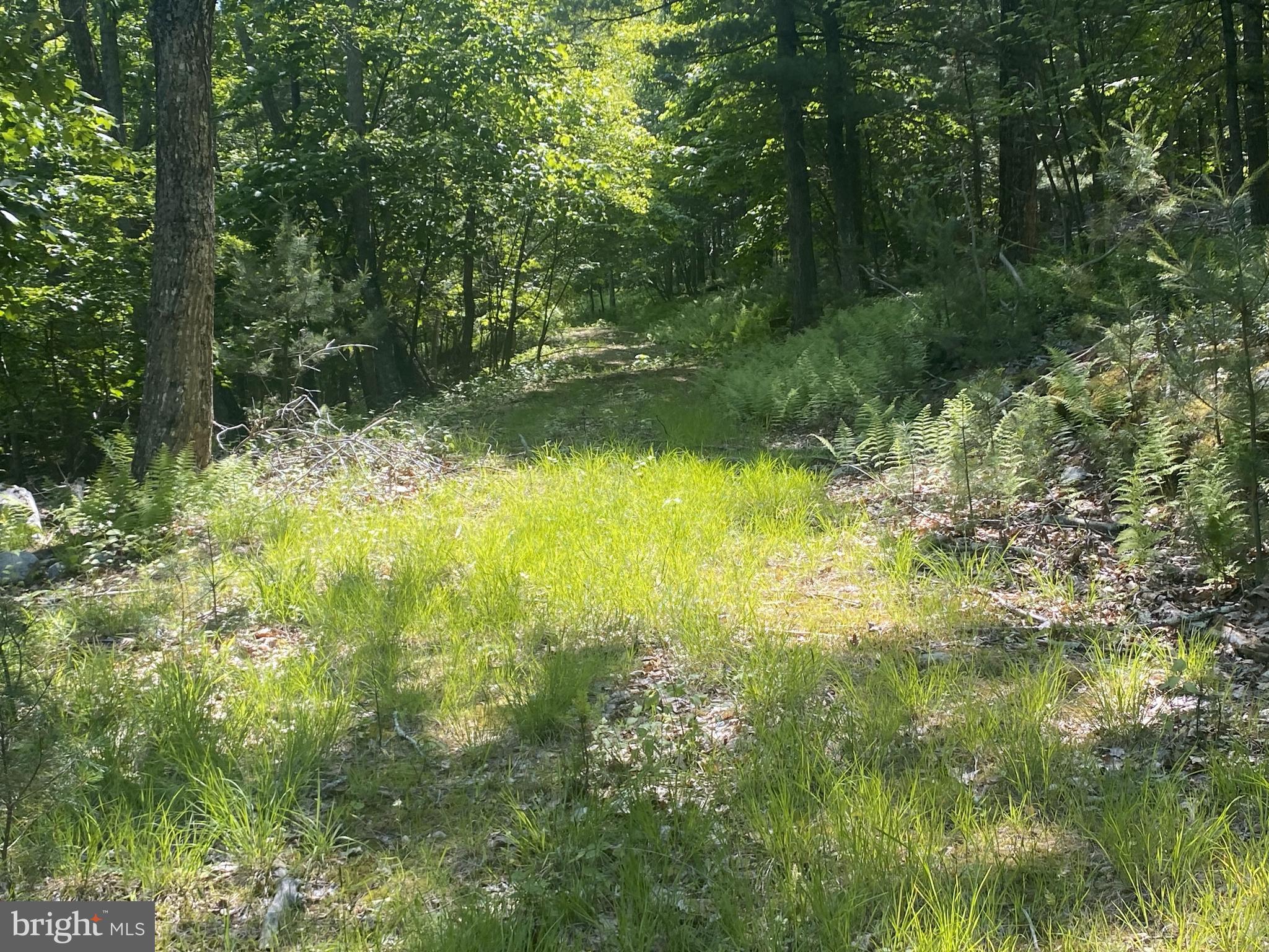 RT 23 (SHARP RIDGE), LOT #3