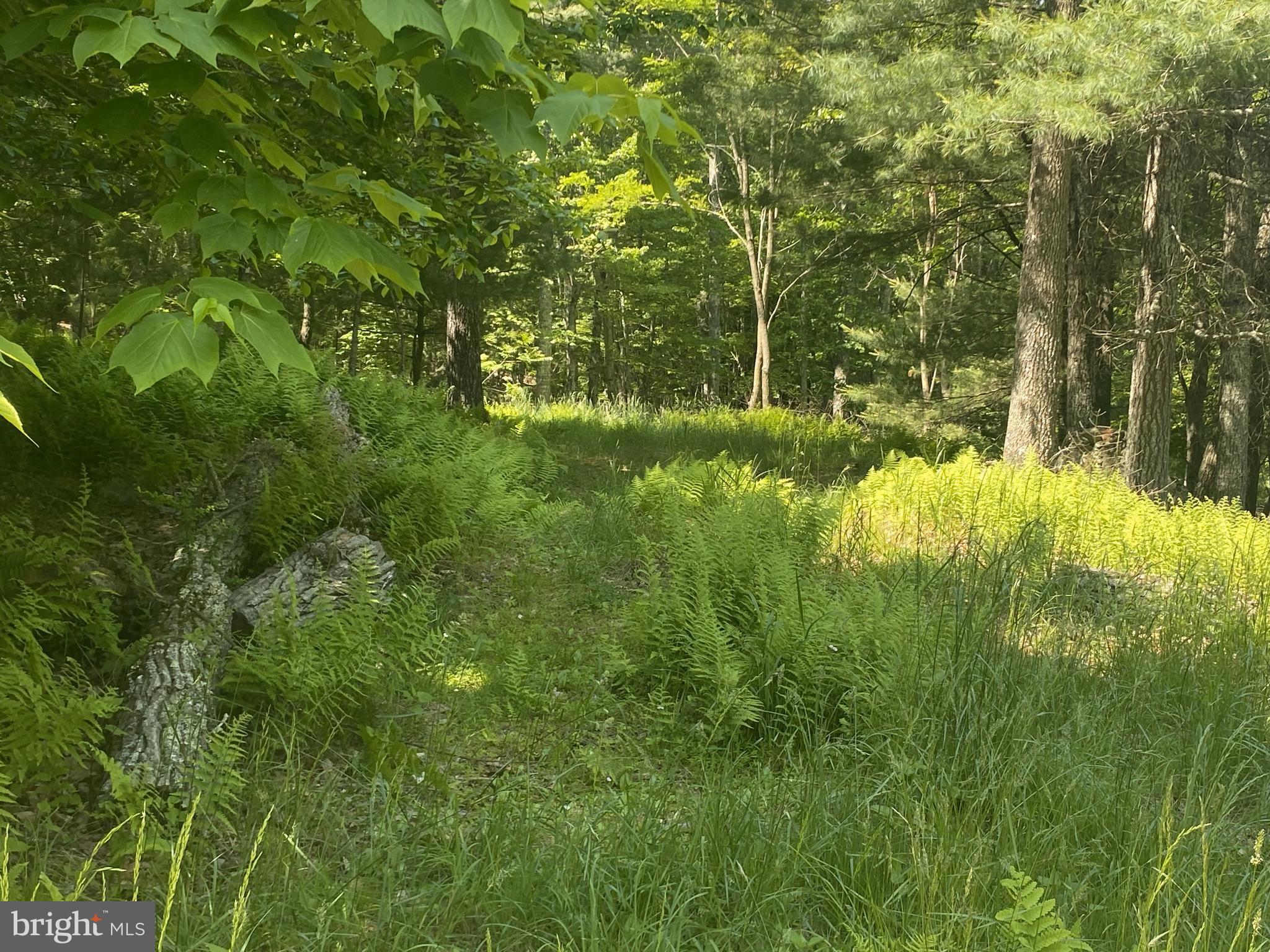 5.62 acre private lot. Electric nearby, easy access. Some restrictions.