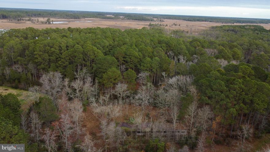 Discover this 7.12 ± acre parcel located on O Rumbly Point Rd in Marion Station. This property offers a peaceful rural setting.  Lot is surrounded by lots of timber and fields making it ideal habit for whitetail hunting or a secluded place for camping.  Create a private retreat, or hold as an investment.  The lot also provides easy access to local roads being only a short drive to Crisfield, public boat ramps, and Eastern Shore amenities.  Come check out what Somerset Co has to offer..
Buyer responsible for all due diligence regarding perk testing, well/septic installation, utilities, and county approvals