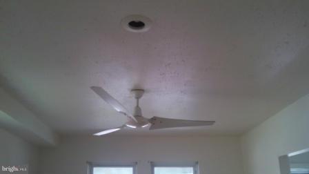 PIMLICO - Residential