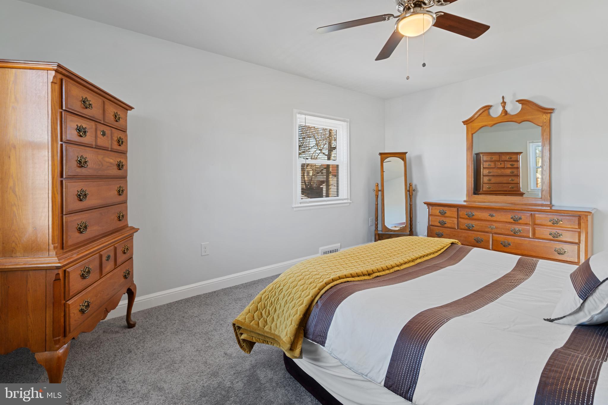 ASHBURTON HISTORIC DISTRICT - Residential